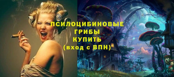 МДПВ Алексеевка