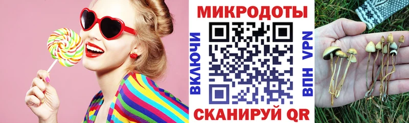 где купить наркоту  Протвино  Псилоцибиновые грибы прущие грибы 